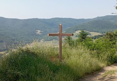 Trail Walking Quincié-en-Beaujolais - quincie Patrick  - Photo