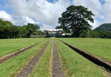 Tour Wandern Saint-Pierre - Boucle Depaz via rue Levassor - Photo