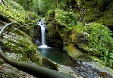 Trail Walking Saint-Sauveur-Camprieu - Camprieu - Photo