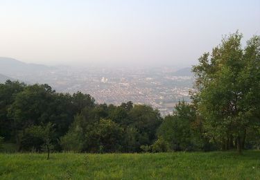 Trail On foot Bovezzo - Bovezzo - Sant'Onofrio - Photo