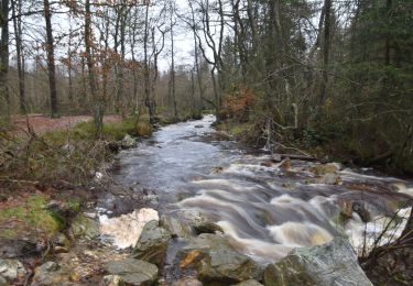 Trail Walking Stavelot - 20211213 - Hockay 5.4 Km - Photo