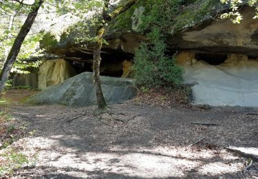 Trail Walking Annot - Annot Chambre du roi Portettes - Photo