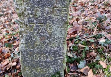 Trail Walking Vouthon-Haut - repérage bois de Greux  - Photo