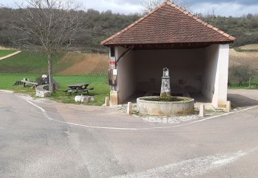 Percorso Marcia Chagny - Chagny 22.4km 20230330 - Photo