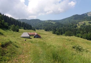 Trail Walking Montcel - BAUGES: TOUR DE LA FORET DOMANIALE DU GRAND REVARD - Photo