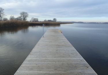 Tocht Te voet  - Szlak Liwiej Łuży - Photo