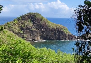 Tour Wandern Sainte-Marie - Ste Marie vers Marigot - Photo