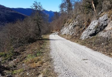 Tour Wandern Cazavet - Estelas - Photo