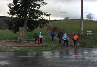 Randonnée Marche Jullié - Jullié (16 km - D. 483 m) le 11/03/2019 - Photo