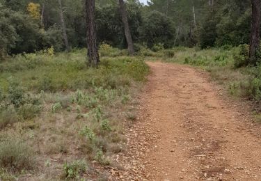 Tocht Stappen Aix-en-Provence - bibemus.alain.nicoline - Photo