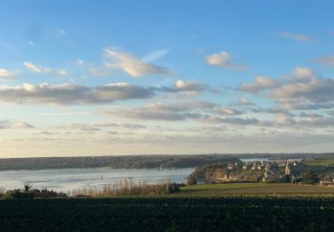 Tocht Stappen Saint-Suliac - Saint-Suliac les bords de la Rance - Photo