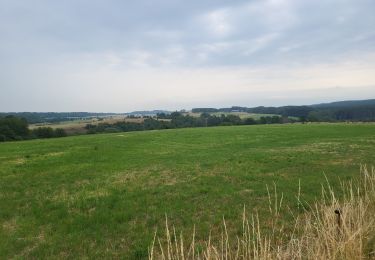 Tour Wandern Marche-en-Famenne - marche en famenne 280623 - Photo