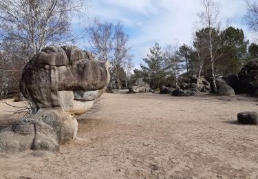 Tour Wandern Le Vaudoué - La Mée - Photo