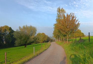 Trail Walking Comblain-au-Pont - oneux . comblain-la-tour . oneux - Photo