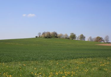 Tour Zu Fuß Künzell-Bachrain - Dietershausen Nordic Walking 6 - Photo