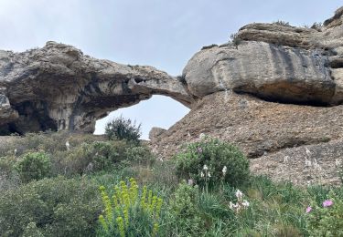Trail sport La Ciotat - Bec de l’aigle / Sémaphore de la Ciotat - Photo