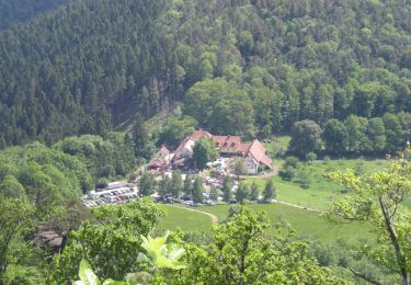 Tour Zu Fuß Lembach - Rectangle rouge barré de blanc - Photo