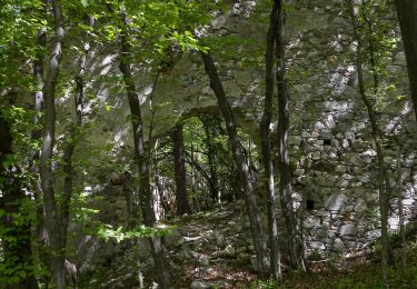 Percorso A piedi Gemeinde Schwarzenbach - Mostheurigenrunde 1 (Schwarzenbach) - Photo