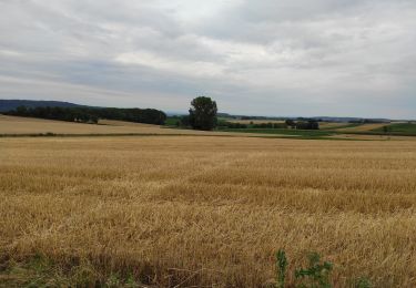 Excursión Senderismo Heimsbrunn - heimsbrunn - Photo