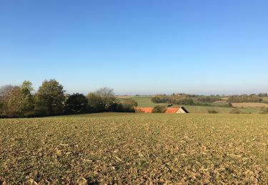 Tour Wandern Jodoigne - 221114b - Jodoigne, Gobertange, St Remy-Geest, GRP127 (court) - Photo