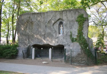 Tour Zu Fuß Raalte - WNW Salland - Luttenberg - blauwe route - Photo