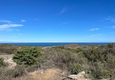 Trail Walking Cadaqués - Cap Creus effacer trace excédentaire  - Photo