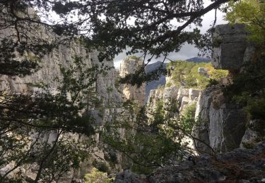 Randonnée Marche Castellane - Cadières de Brandis - Photo