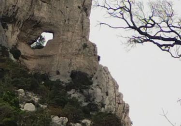 Trail Walking Marseille - Mt Puget aven des Marseillais  - Photo