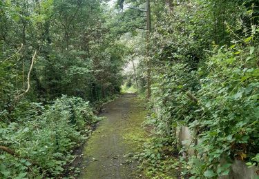 Randonnée Marche Esneux - pré de tilff . bois du manant.  bois des chevreuils  . pré  de tilff - Photo