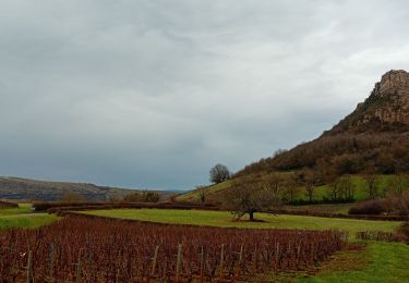 Percorso Marcia Solutré-Pouilly - Solutré - Photo