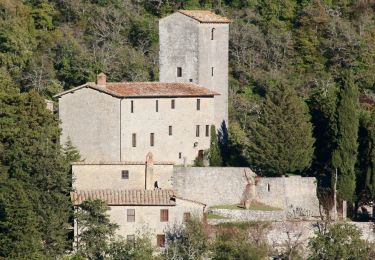 Excursión A pie Gaiole in Chianti - IT-50 - Photo