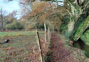 Trail Walking Saint-Nolff - PR_56_St-Nolf_AA_01_La-Vallee-Du-Condat-7Km_Circuit1b_20231119 - Photo