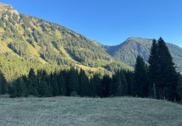 Excursión Senderismo Saint-Jean-d'Aulps - Les Mellis, La chaux , le col de l’écuelle , le pré nouveau  - Photo