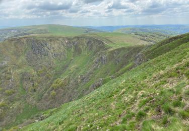 Trail Walking Stosswihr - Sentier des roches - Photo
