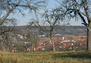 Tocht Te voet Magstadt - Rundwanderweg 1 - Photo