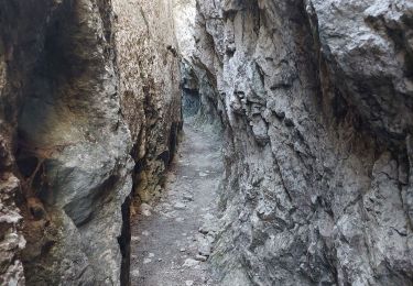 Excursión Senderismo Gruissan - Gruissan falaise de Vires  - Photo