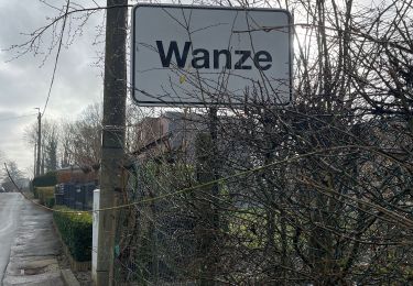 Randonnée Marche Wanze - Marche fédéral  - Photo