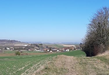 Tour Wandern Barbonne-Fayel - dans le vignoble Champenois autour de BARBONNE-FAYEL - Photo