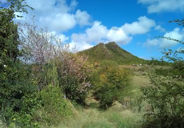 Excursión Senderismo Sainte-Anne - parcours sportif de Petite Versailles vers le Cap Chevalier   - Photo