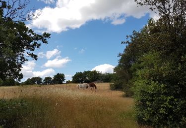 Tour Wandern Celles - L'Auverne Salagou - Photo