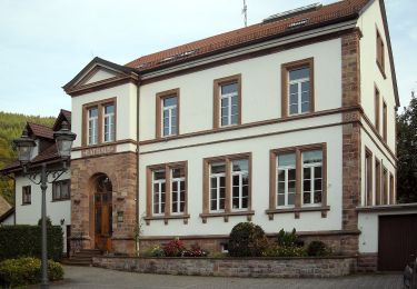 Trail On foot Heiligkreuzsteinach - Rundwanderweg Heiligkreuzsteinach 6: Heubach-Weg - Photo