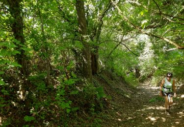 Trail Walking Tinlot - Scry - Photo