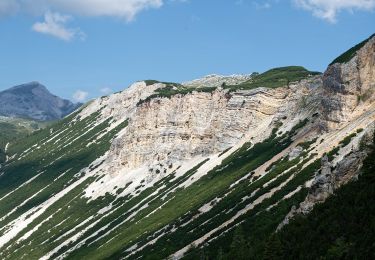 Trail On foot Marèo - Enneberg - Marebbe - IT-9 - Photo