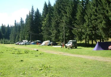 Tour Zu Fuß  - Circuitul Stațiunii Stâna de Vale - Photo