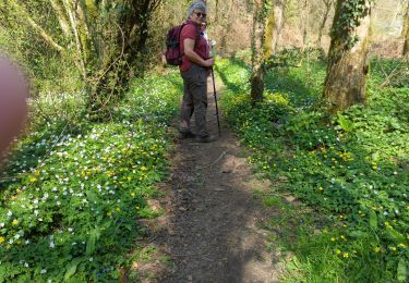Trail Walking Mézières-sur-Couesnon - Mezière sur Couesnon  - Photo