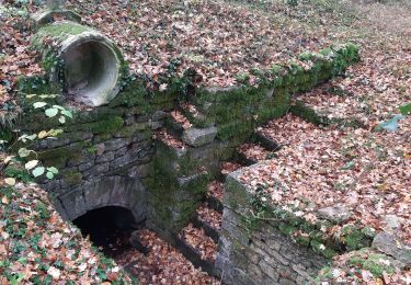 Randonnée V.T.T. Bologne - source de Méchineix - Photo