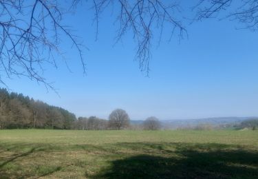 Randonnée Marche Theux - bansion - les digues via golf et chawion, retour via chemin des arbres remarquables - Photo