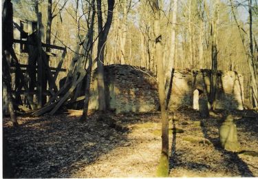 Trail On foot  - ścieżka edukacyjna Jezioro Ostrowieckie - Photo