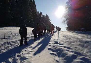 Trail Walking Divonne-les-Bains - A Jura - lundi 20/01/2020 - rando de l'après-midi - les Copettes - Photo