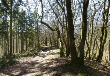 Tour Zu Fuß La Roche-en-Ardenne - 6.A l'Ewe - Photo